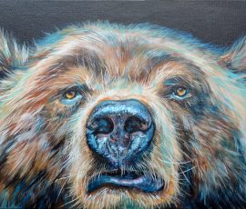 Bear