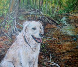 ????????????????????????????????????