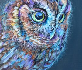 Screech Owl