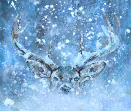Deer in the headlights